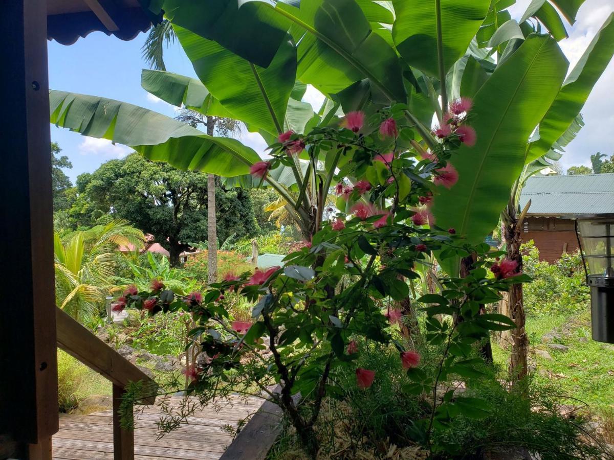 סן-קלוד Les Bananes Vertes Ecolodges מראה חיצוני תמונה