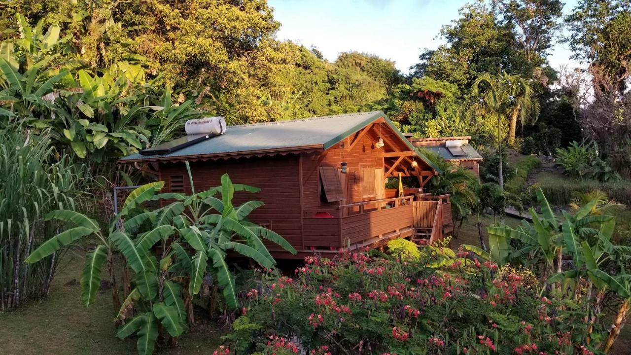 סן-קלוד Les Bananes Vertes Ecolodges מראה חיצוני תמונה
