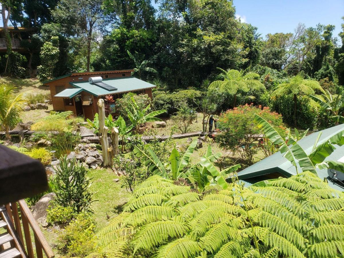 סן-קלוד Les Bananes Vertes Ecolodges מראה חיצוני תמונה