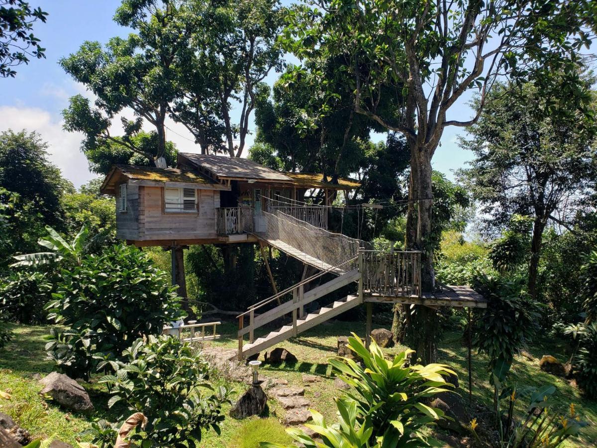 סן-קלוד Les Bananes Vertes Ecolodges מראה חיצוני תמונה