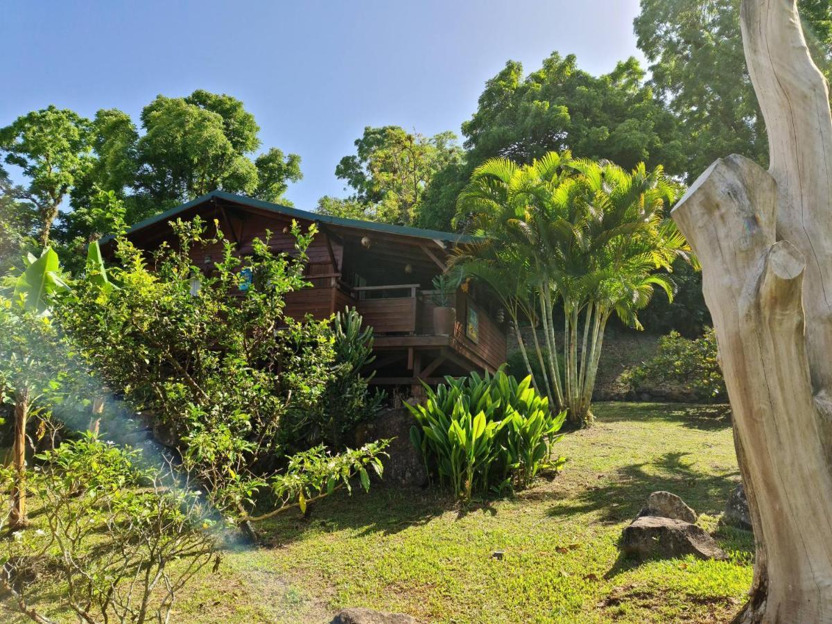 סן-קלוד Les Bananes Vertes Ecolodges מראה חיצוני תמונה