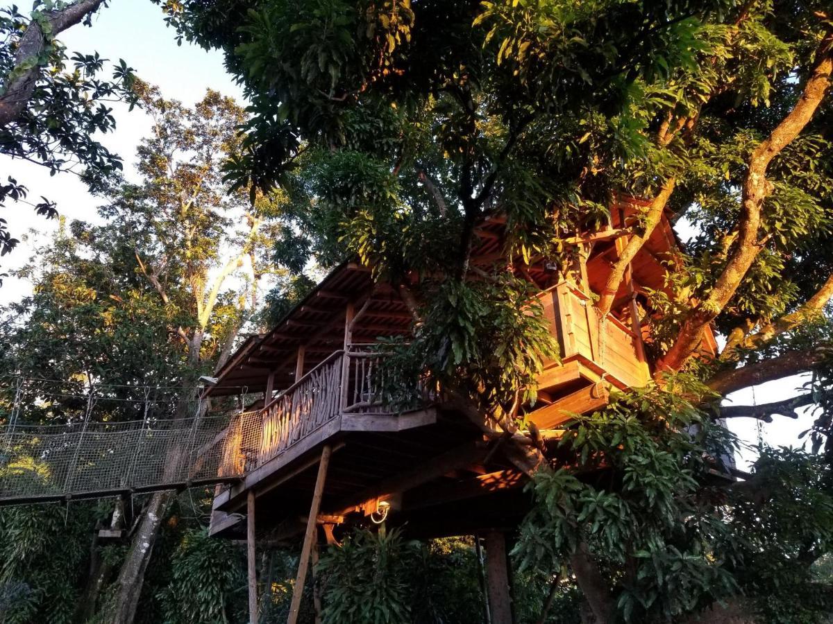 סן-קלוד Les Bananes Vertes Ecolodges מראה חיצוני תמונה