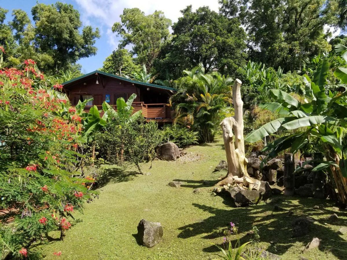 סן-קלוד Les Bananes Vertes Ecolodges מראה חיצוני תמונה