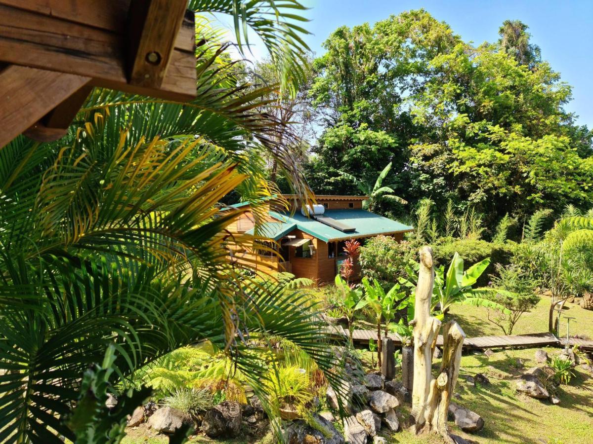 סן-קלוד Les Bananes Vertes Ecolodges מראה חיצוני תמונה