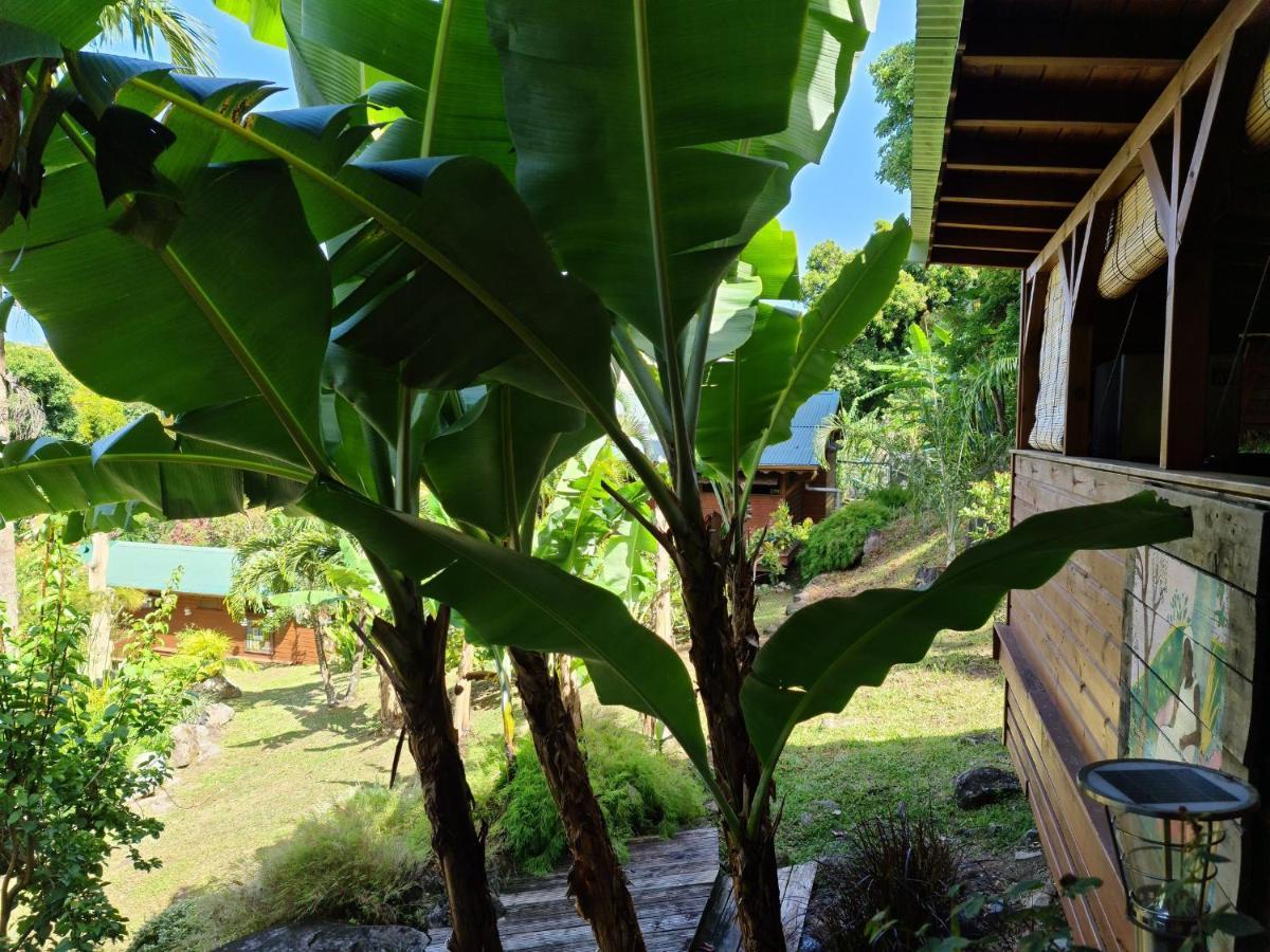 סן-קלוד Les Bananes Vertes Ecolodges מראה חיצוני תמונה