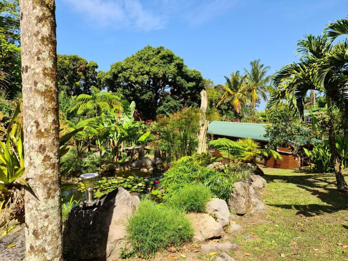 סן-קלוד Les Bananes Vertes Ecolodges מראה חיצוני תמונה