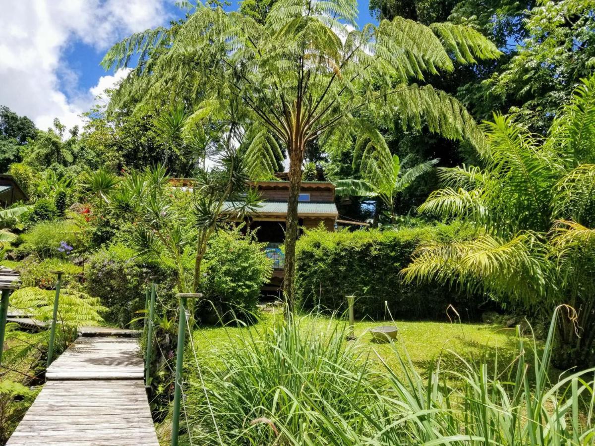 סן-קלוד Les Bananes Vertes Ecolodges מראה חיצוני תמונה