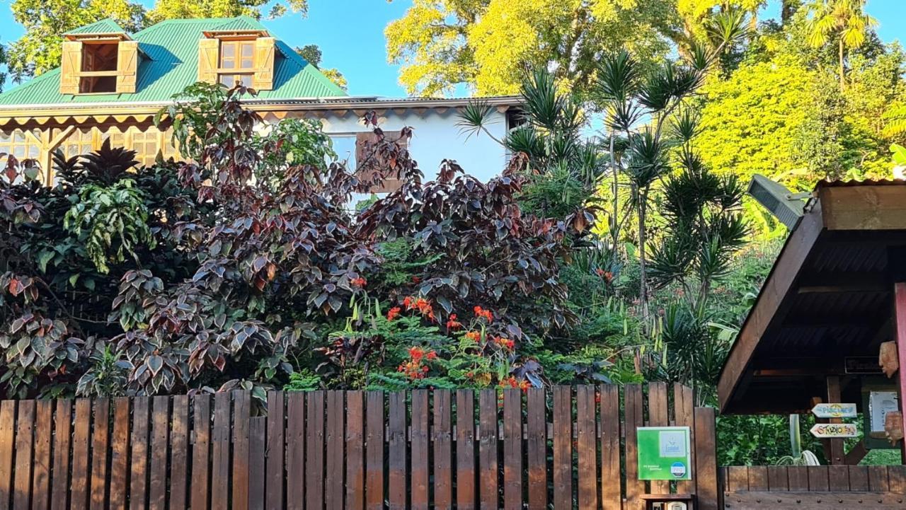 סן-קלוד Les Bananes Vertes Ecolodges מראה חיצוני תמונה